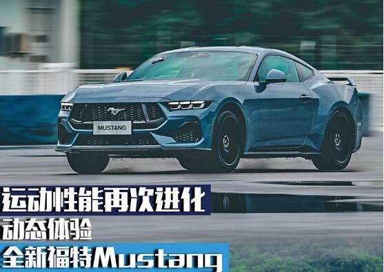 ٽ ̬ȫ¸Mustang