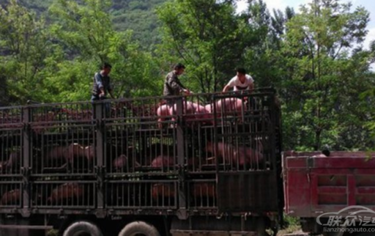 非洲猪瘟防控强化，生猪货运被限制，尤其是未备案的货车缩略图